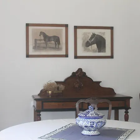 Tapada Nacional De Lodge Μάφρα